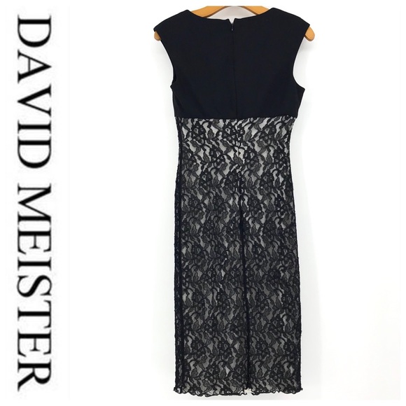 💕SALE💕David Meister black Lace Overlay Dress - Picture 2 of 7